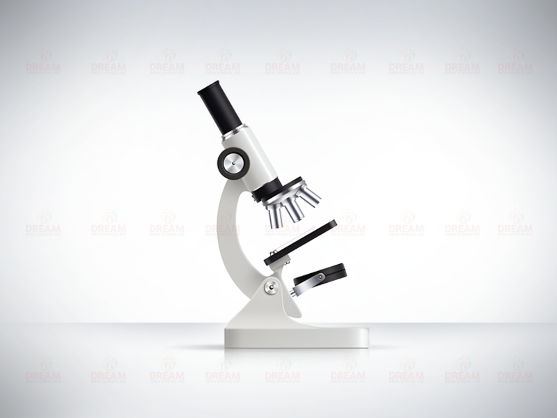 Dream India School Aid